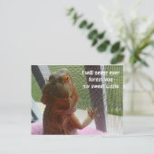 美しいひげ竜ペット記念写真 ポストカード (スタンド正面)