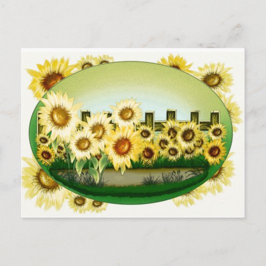 美しいひまわりのポストカード ポストカード (正面)