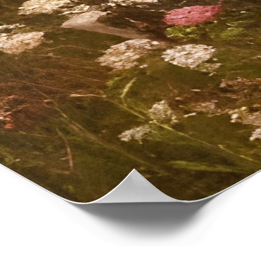 美しいひまわりの花の野花赤白青 ポスター (角)