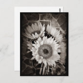 美しいひまわり花束写真入り白黒 ポストカード (正面/裏面)
