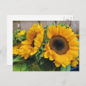 美しいひまわり葉書 ポストカード (正面/裏面)