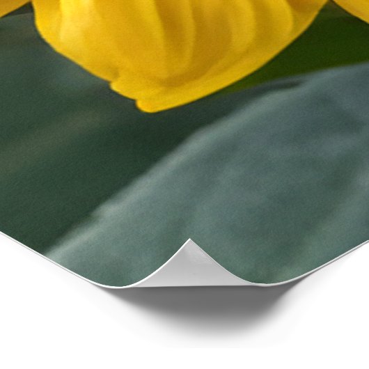 美しいひまわり風景パーソナライズされた引用文 ポスター (角)