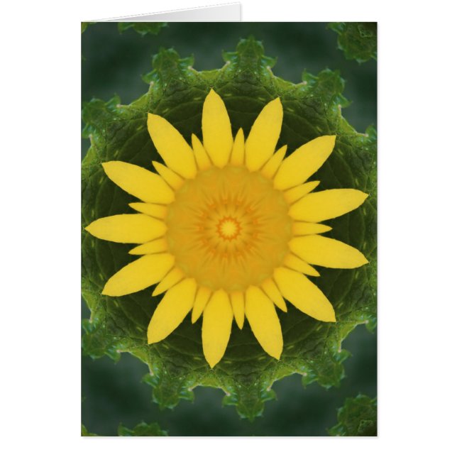 美しいひまわり (正面)