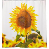 美しいひまわり シャワーカーテン (正面)