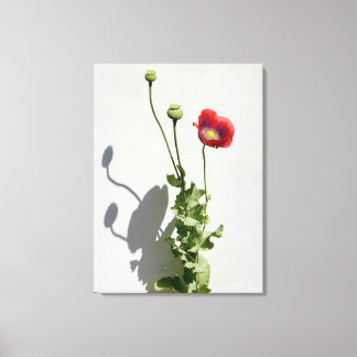 美しいも獣だ。 キャンバスプリント