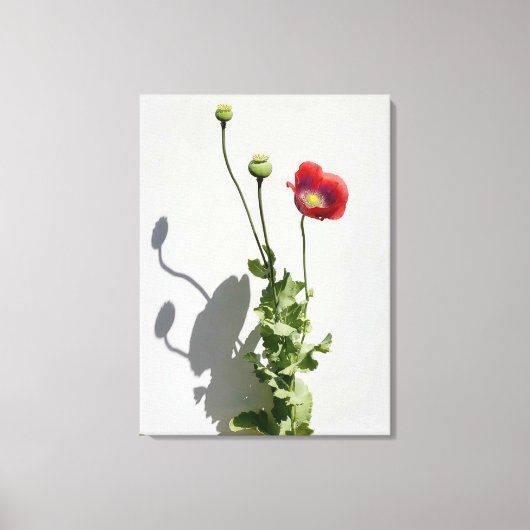 美しいも獣だ。 キャンバスプリント (正面)