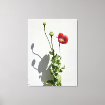 美しいも獣だ。