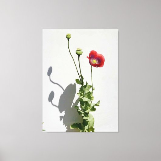 美しいも獣だ。 キャンバスプリント (正面)