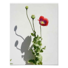 美しいも獣だ。