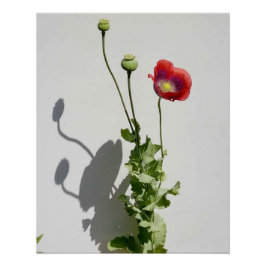 美しいも獣だ。 ポスター