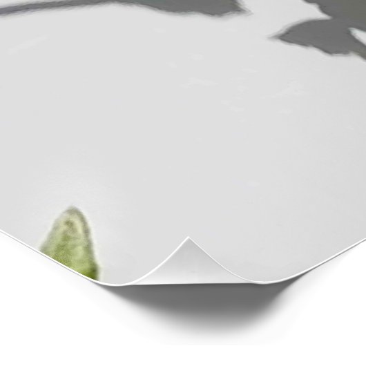 美しいも獣だ。 ポスター (コーナー)