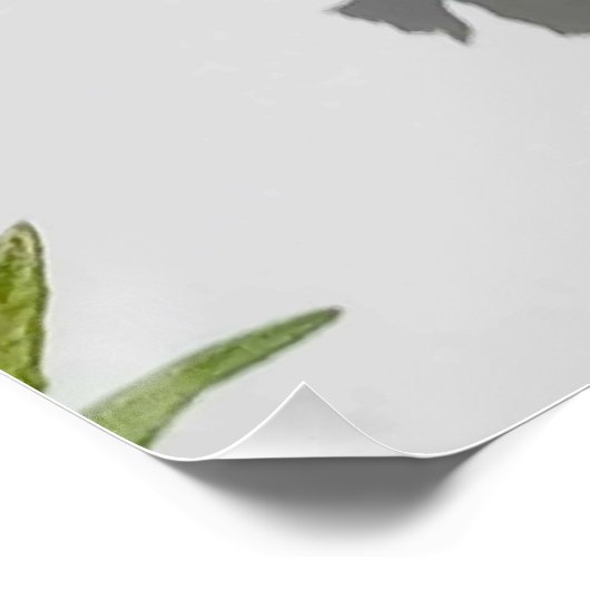 美しいも獣だ。 ポスター (コーナー)