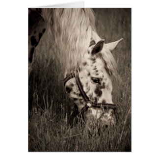 美しいを牧草を食べること