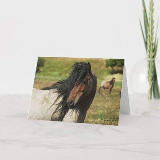 美しいを見て下さい カード (正面)