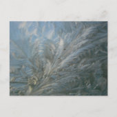 美しいアイスフラワーDIYはがき ポストカード (正面)
