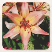 美しいアイリス写真のコースター スクエアペーパーコースター (正面)