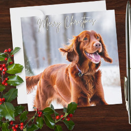 美しいアイリッシュ・レッド・セッター犬のクリスマス シーズンカード