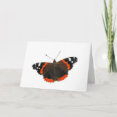 美しいアカタテハチョウ カード (正面)