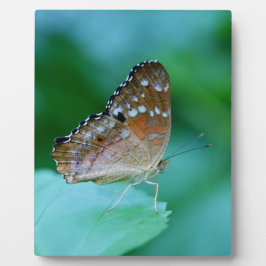 美しいアゲハチョウが葉の上に フォトプラーク
