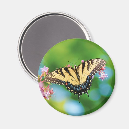 美しいアゲハチョウの花のかわいらし蝶 マグネット (正面/裏面)