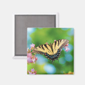 美しいアゲハチョウの花のかわいらし蝶 マグネット (正面/裏面)
