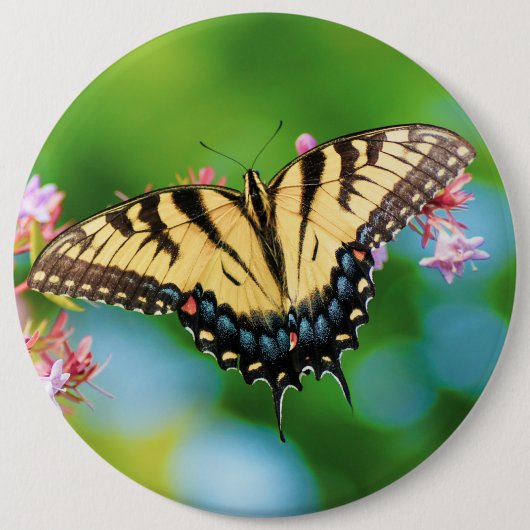 美しいアゲハチョウの花のかわいらし蝶 缶バッジ (正面)