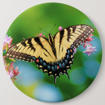 美しいアゲハチョウの花のかわいらし蝶