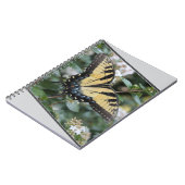 美しいアゲハチョウ蝶の写真 –  ノートブック (左側)