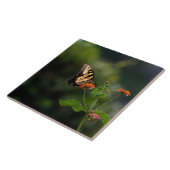 美しいアゲハチョウ蝶 タイル (側面)