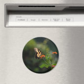 美しいアゲハチョウ蝶 マグネット (インサイチュ (食洗機))