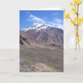 美しいアコンガア国立公園ビュー,アルゼンチン カード (黄色い花)