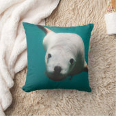 美しいアシカ クッション (ブランケット)