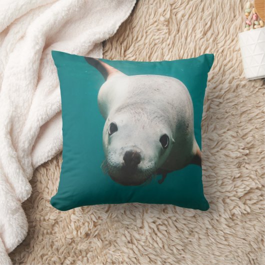 美しいアシカ クッション (ブランケット)