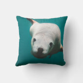 美しいアシカ クッション (裏面)