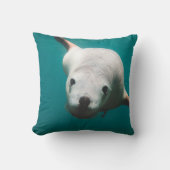 美しいアシカ クッション (正面)