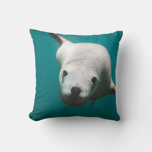 美しいアシカ クッション (正面)