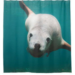 美しいアシカ シャワーカーテン