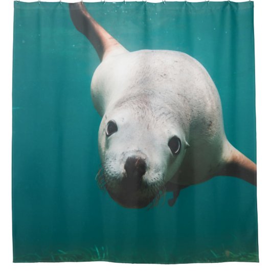美しいアシカ シャワーカーテン (正面)