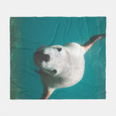 美しいアシカ フリースブランケット (正面(横))