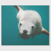 美しいアシカ ラッピングペーパー (フラット)