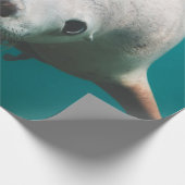 美しいアシカ ラッピングペーパー (角)