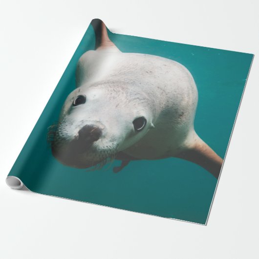 美しいアシカ ラッピングペーパー (アンロールド)
