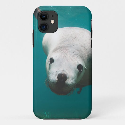 美しいアシカ Case-Mate iPhoneケース (裏面)