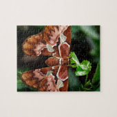 美しいアトラスチョウ ジグソーパズル (横)