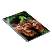 美しいアトラス・モス ノートブック (右側)