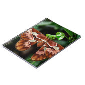 美しいアトラス・モス ノートブック (左側)