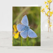 美しいアドニスブルーバタフライグリーティングカード カード (黄色い花)