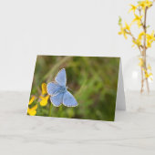 美しいアドニスブルーバタフライグリーティングカード カード (黄色い花)