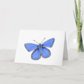 美しいアドニスブルー蝶 カード (正面)