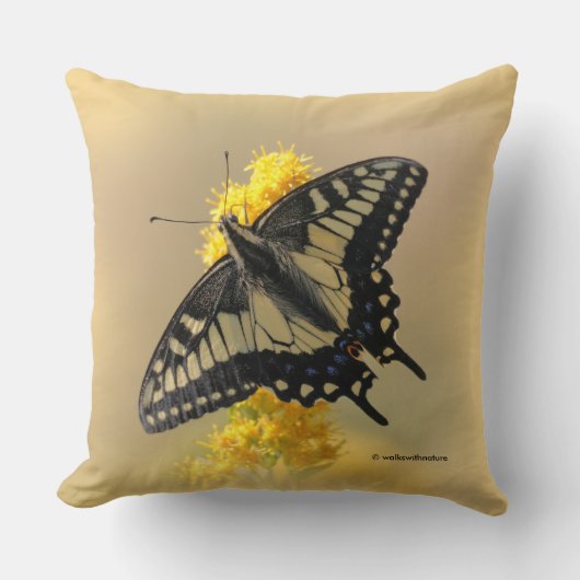 美しいアニスアゲハチョウ蝶in the Sun クッション (正面)